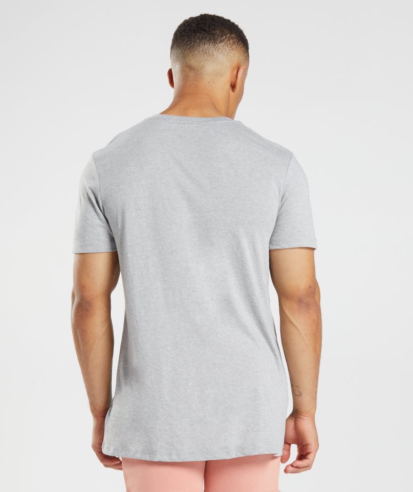 Camiseta Gymshark Legacy Hombre Gris Claro | ES2705-TE