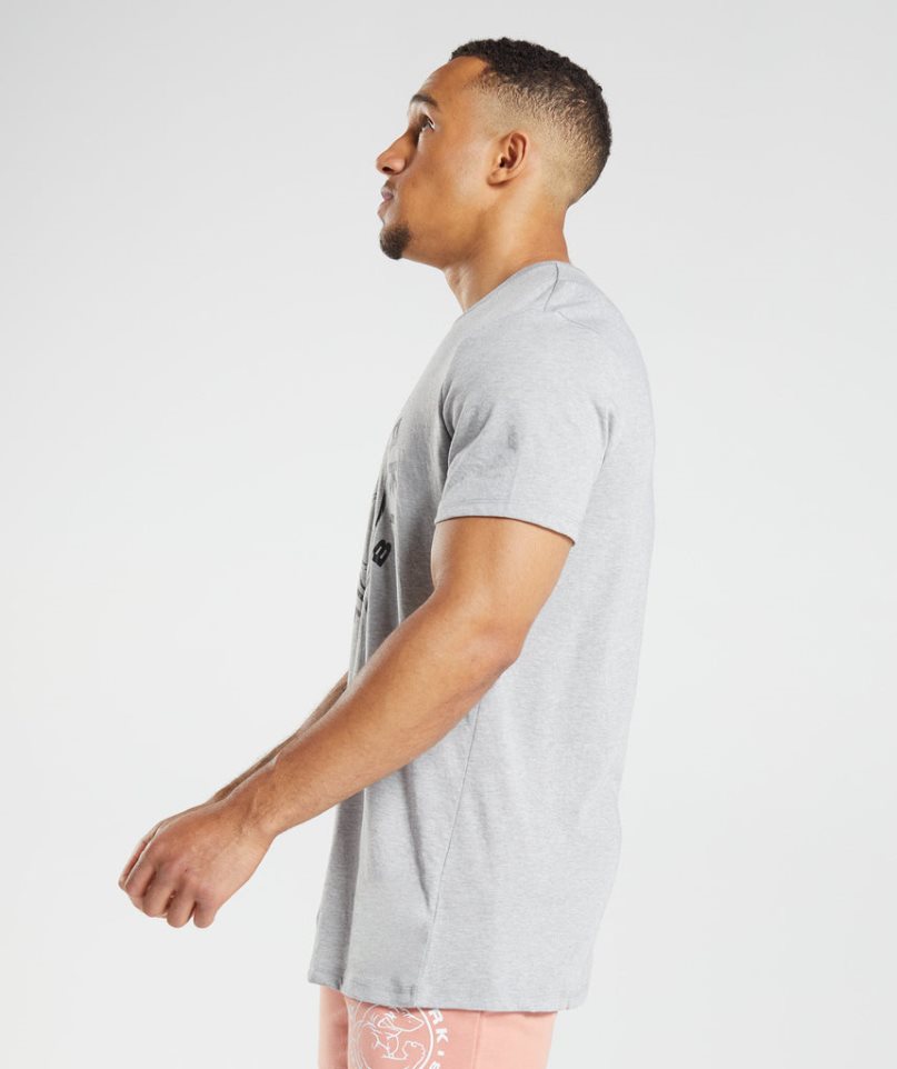 Camiseta Gymshark Legacy Hombre Gris Claro | ES2705-TE