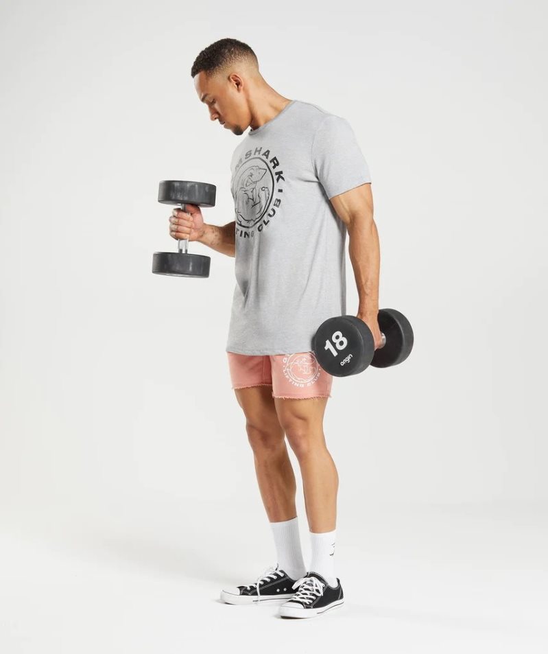 Camiseta Gymshark Legacy Hombre Gris Claro | ES2705-TE