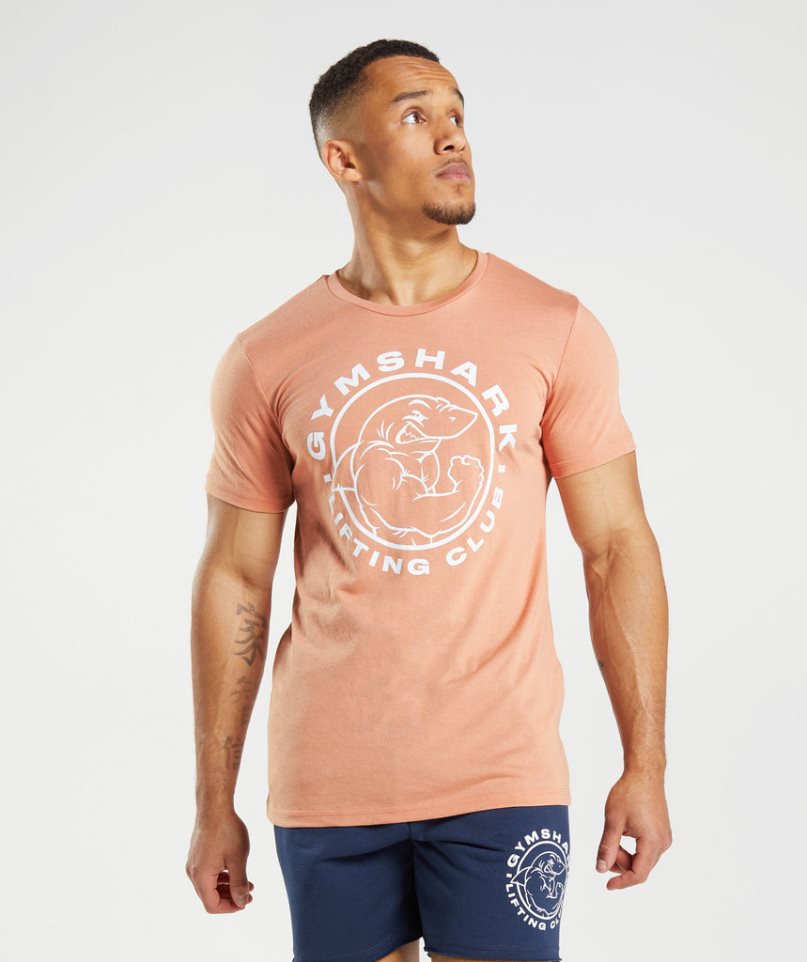 Camiseta Gymshark Legacy Hombre Naranjas | ES6825-SV