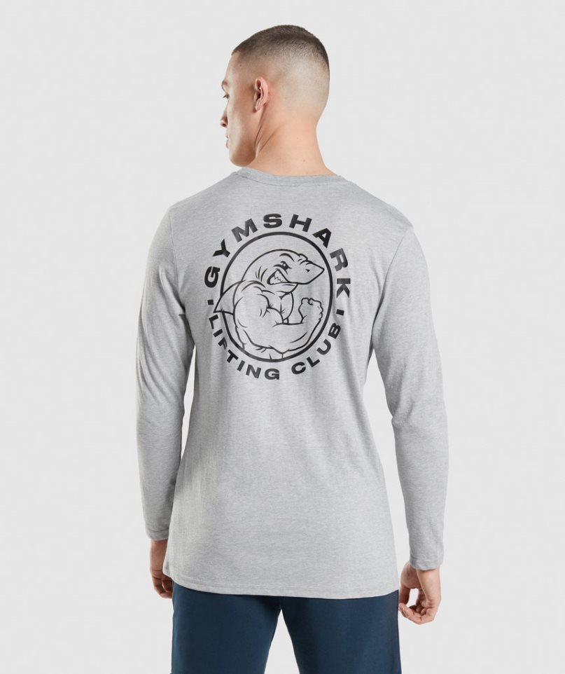 Camiseta Gymshark Legacy Long Sleeve Hombre Gris Claro | ES3507-XH