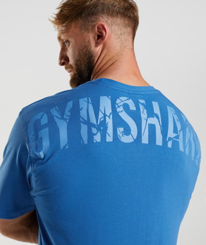 Camiseta Gymshark Power Hombre Azules | ES6431-PM