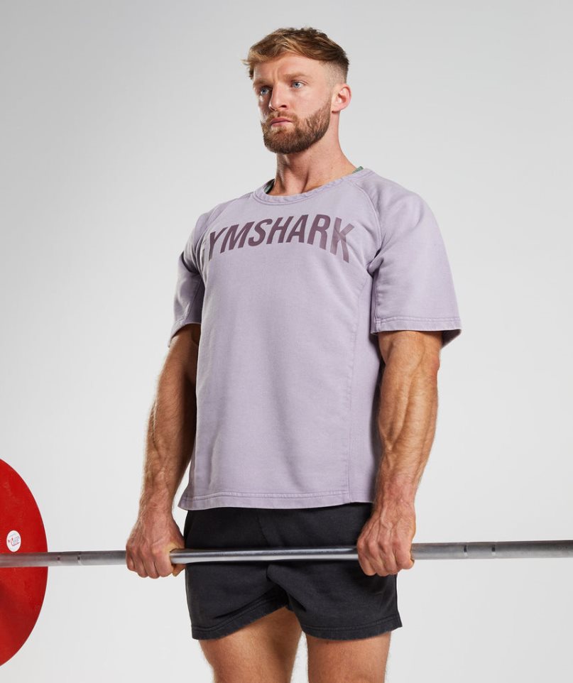 Camiseta Gymshark Power Washed Rag Top Hombre Moradas | ES1406-GN