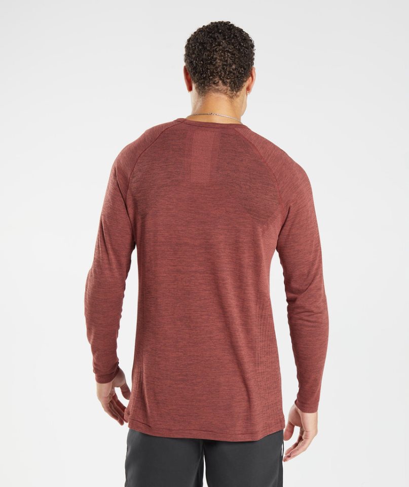 Camiseta Gymshark Retake Seamless Long Sleeve Hombre Marrones | ES2857-BQ