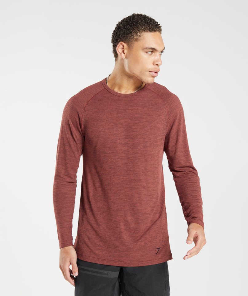 Camiseta Gymshark Retake Seamless Long Sleeve Hombre Marrones | ES2857-BQ