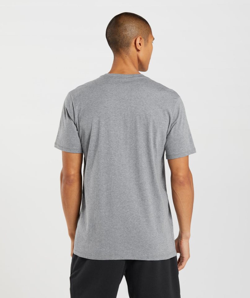 Camiseta Gymshark Sharkhead Infill Hombre Gris | ES3985-SP