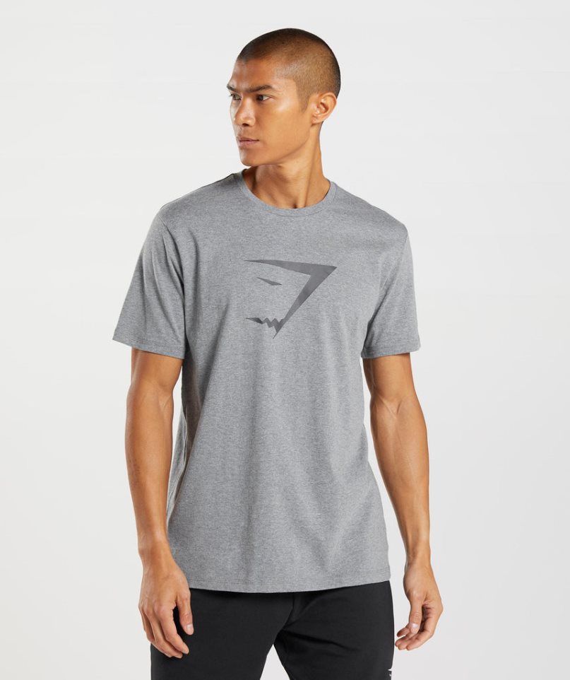 Camiseta Gymshark Sharkhead Infill Hombre Gris | ES3985-SP