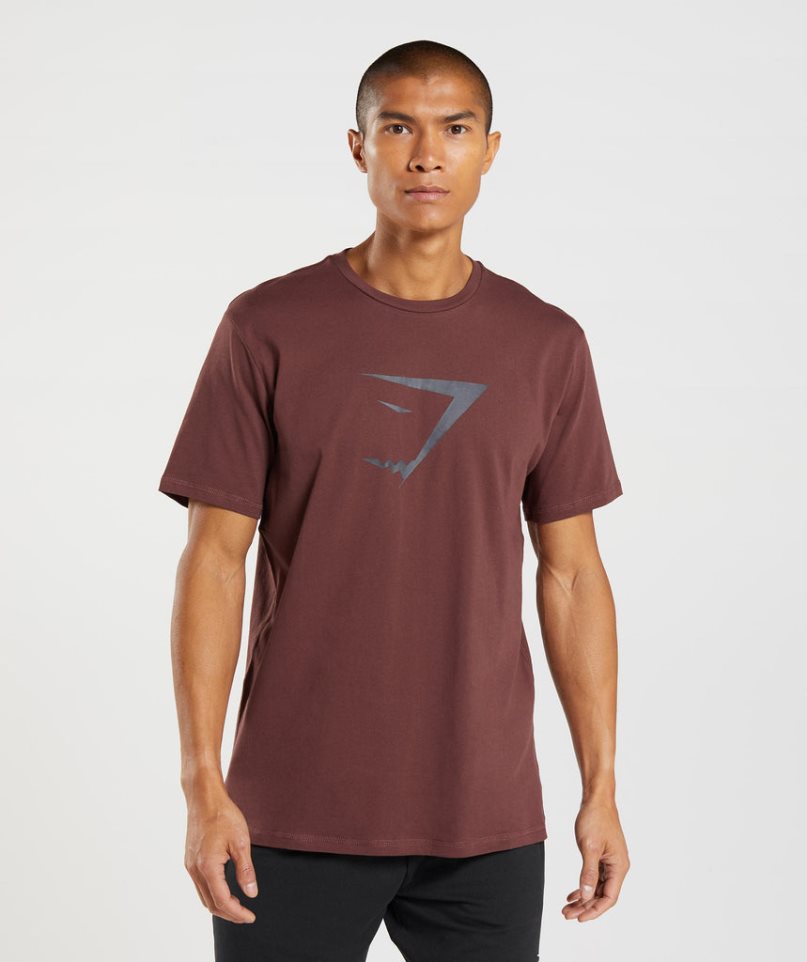 Camiseta Gymshark Sharkhead Infill Hombre Marrones | ES4260-VS