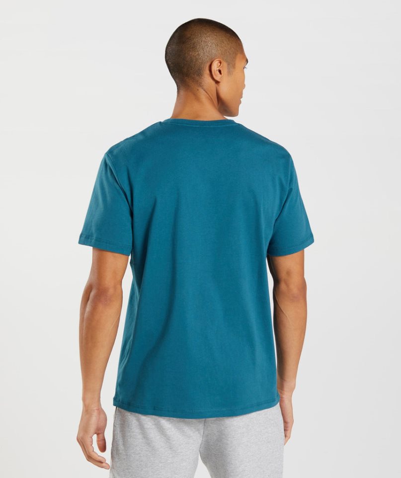 Camiseta Gymshark Sharkhead Infill Hombre Turquesa | ES7564-HE