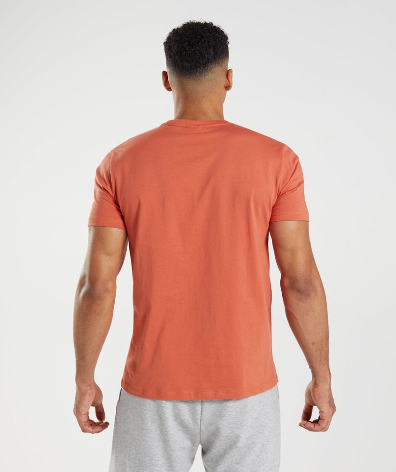 Camiseta Gymshark Sharkhead Infill Hombre Naranjas | ES9302-EY