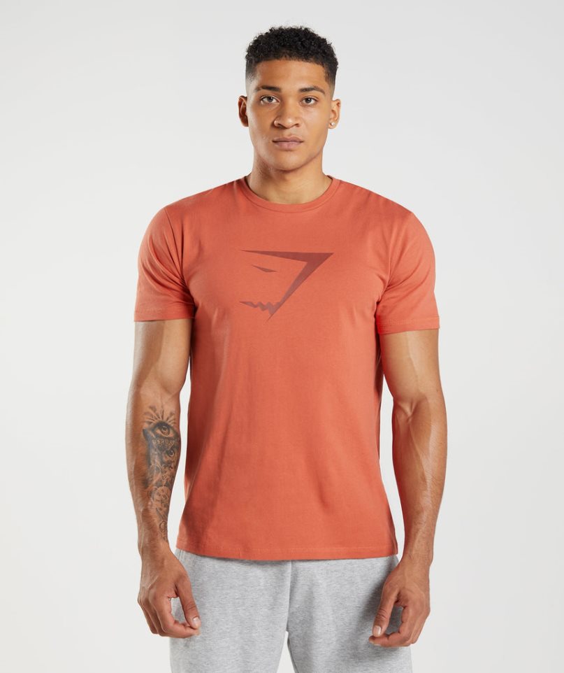 Camiseta Gymshark Sharkhead Infill Hombre Naranjas | ES9302-EY