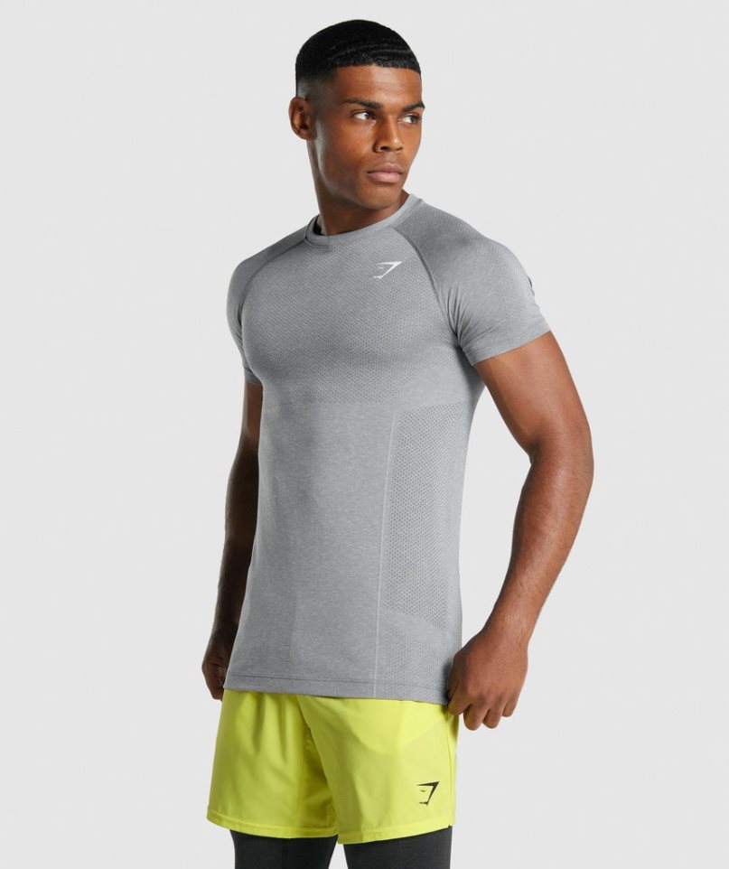 Camiseta Gymshark Vital Light Seamless Hombre Gris | ES3170-IV