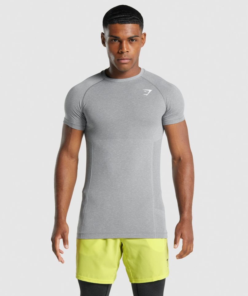 Camiseta Gymshark Vital Light Seamless Hombre Gris | ES3170-IV