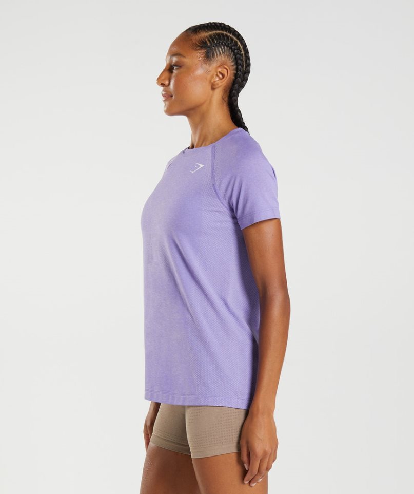 Camiseta Gymshark Vital Seamless 2.0 Light Mujer Moradas | ES3478-CQ