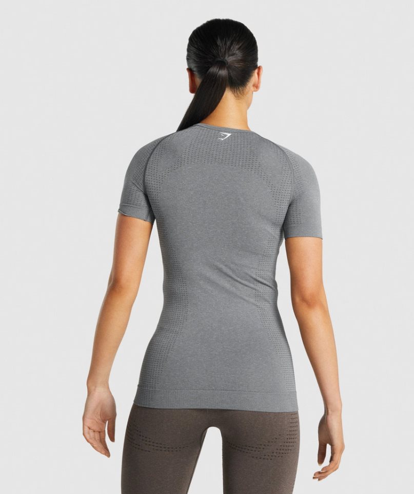 Camiseta Gymshark Vital Seamless 2.0 Mujer Gris | ES9426-TG