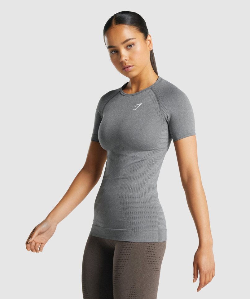 Camiseta Gymshark Vital Seamless 2.0 Mujer Gris | ES9426-TG