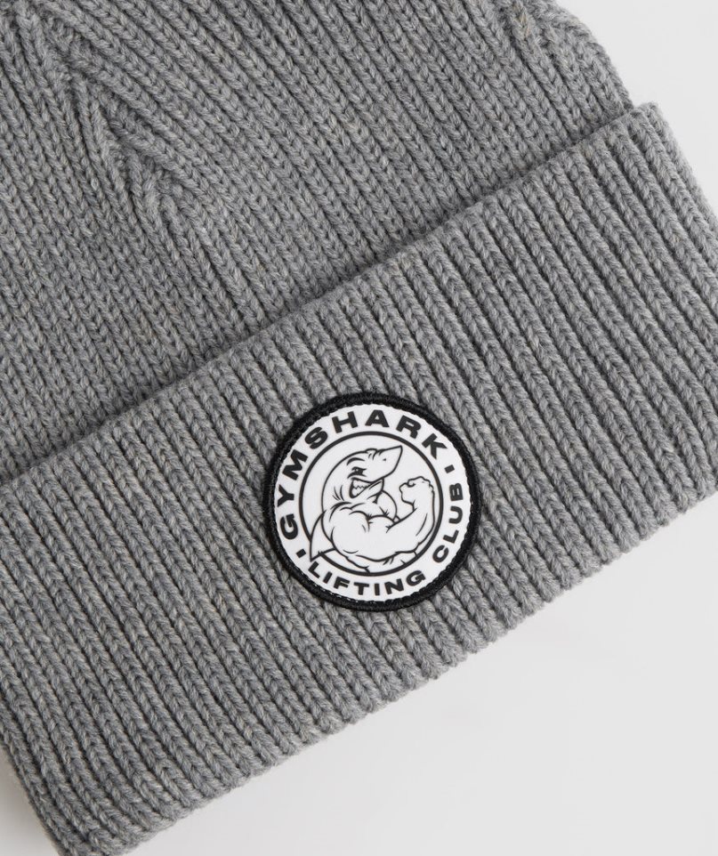 Gorros Gymshark Legacy Deep Cuff Gris Claro | ES7263-XT