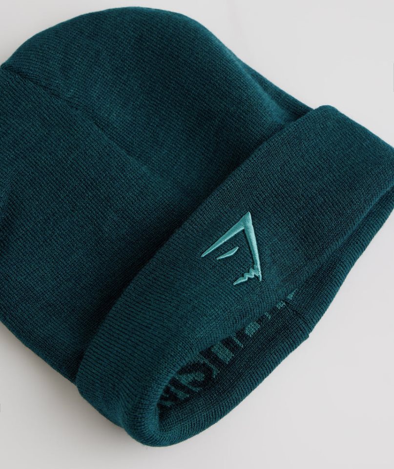 Gorros Gymshark Reversable Jacquard Turquesa | ES1759-FU