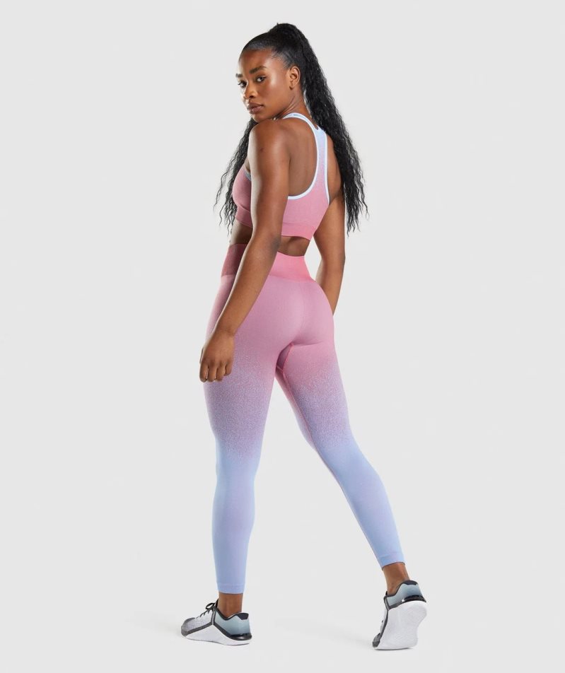 Leggins Gymshark Adapt Ombre Seamless Mujer Rosas Azules Claro | ES6053-OQ