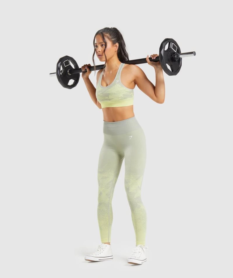 Leggins Gymshark Adapt Ombre Seamless Mujer Verde Menta | ES7310-PI