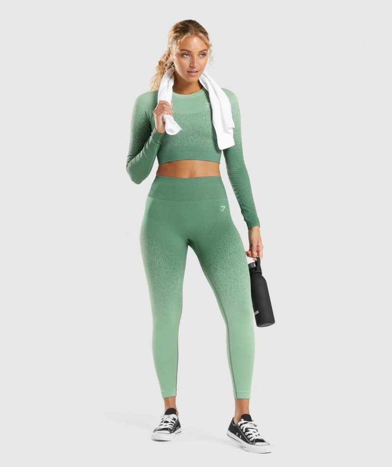 Leggins Gymshark Adapt Ombre Seamless Mujer Verde | ES7548-AX