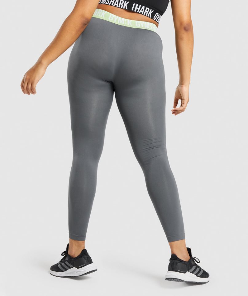 Leggins Gymshark Fit Seamless Mujer Gris | ES5802-WO