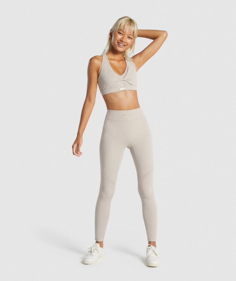 Leggins Gymshark Whitney Mesh Mujer Gris Claro | ES4971-KD