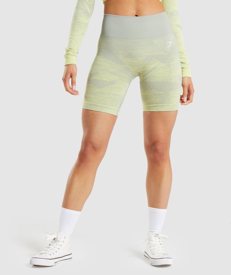 Pantalones Cortos Gymshark Adapt Ombre Seamless Mujer Verde Claro | ES1437-OH