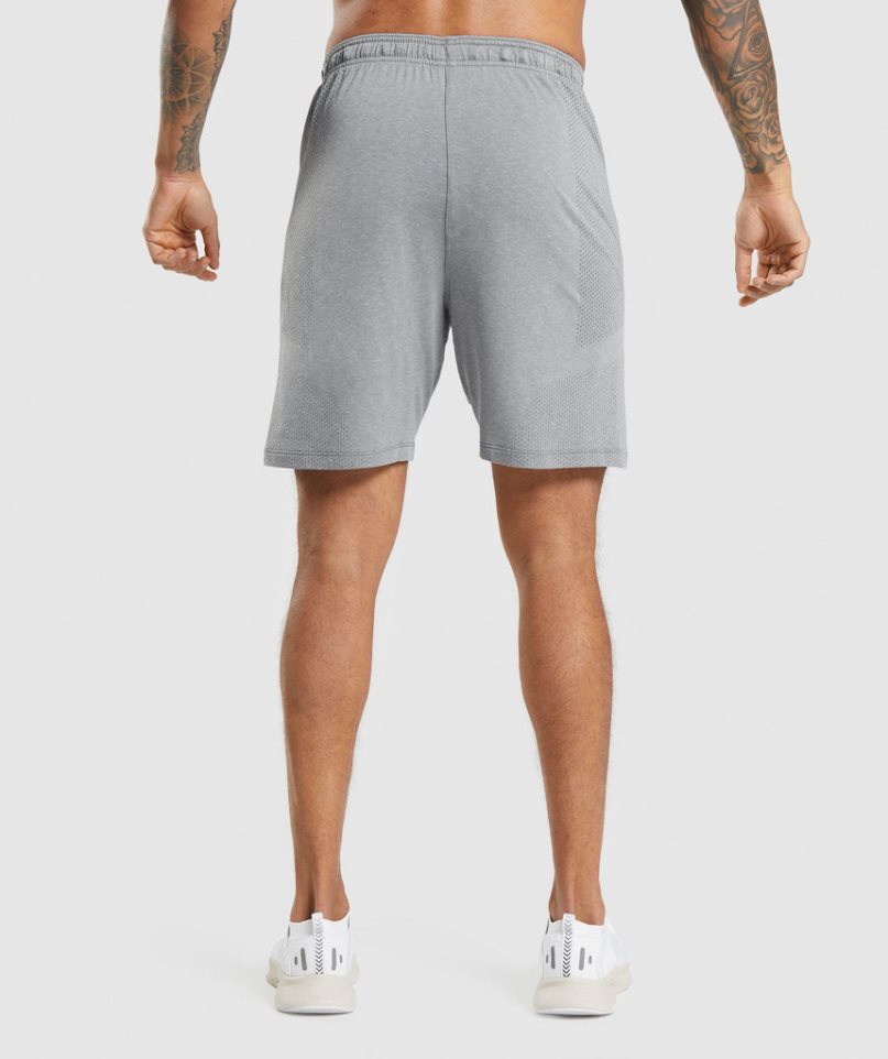 Pantalones Cortos Gymshark Vital Light Hombre Gris | ES0496-PV