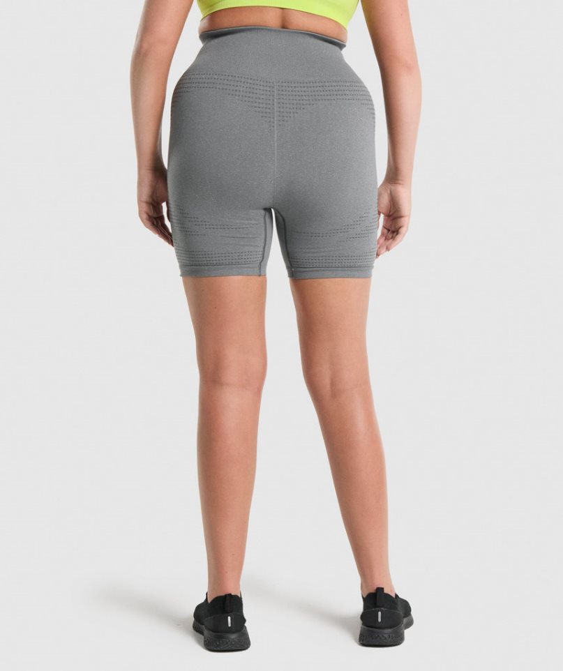 Pantalones Cortos Gymshark Vital Seamless 2.0 Mujer Gris | ES2159-KO