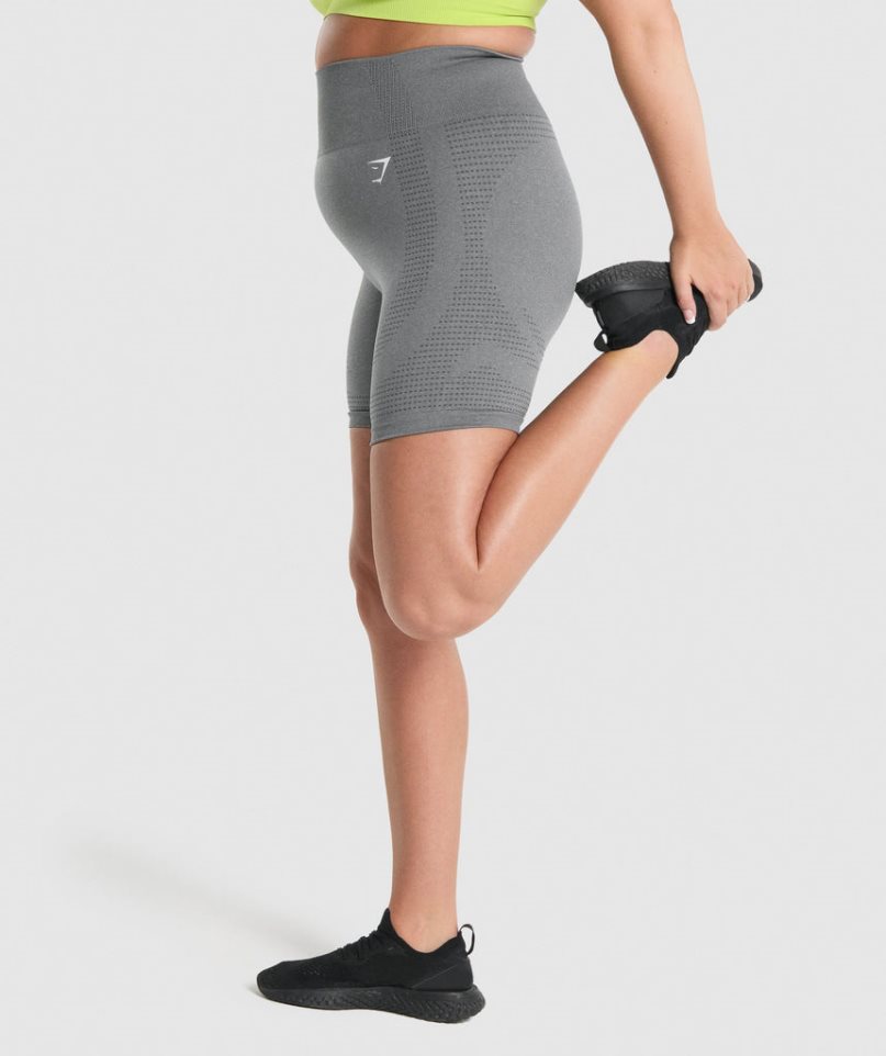 Pantalones Cortos Gymshark Vital Seamless 2.0 Mujer Gris | ES2159-KO