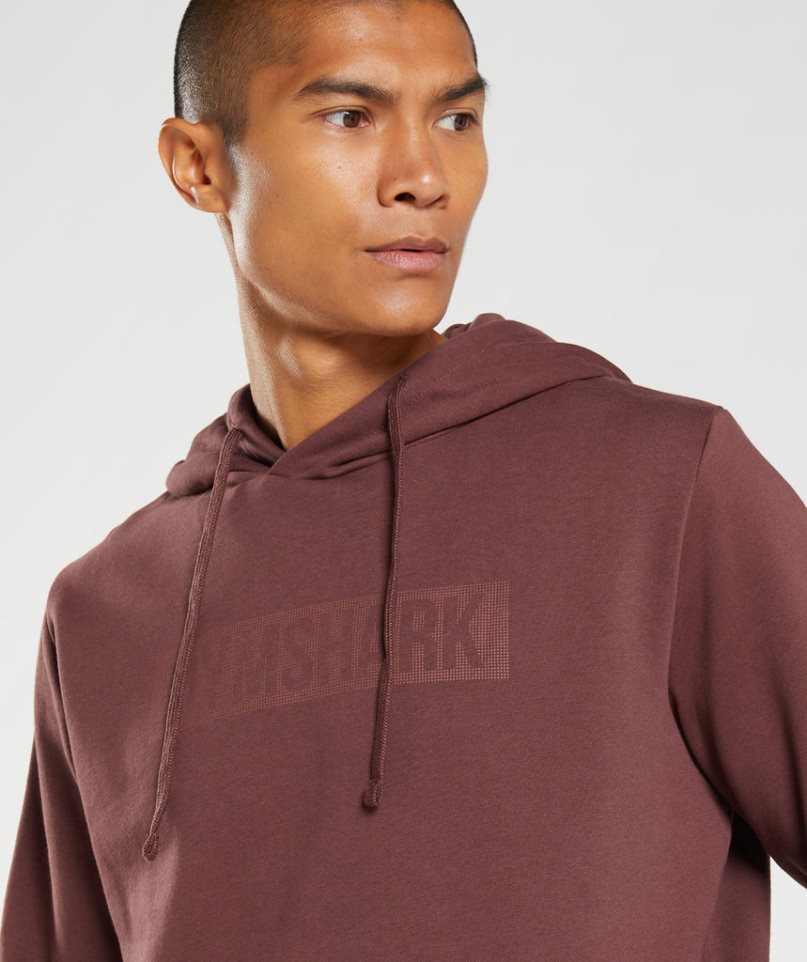 Sudadera Con Capucha Gymshark Block Hombre Marrones | ES4978-UO