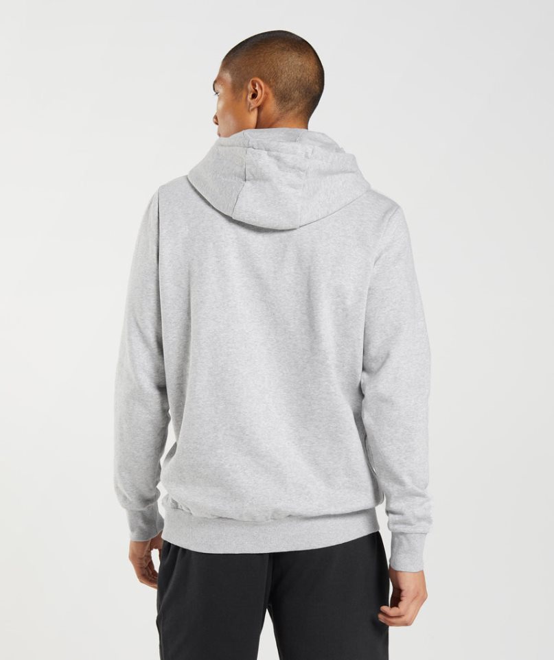 Sudadera Con Capucha Gymshark Block Hombre Gris Claro | ES8106-PY