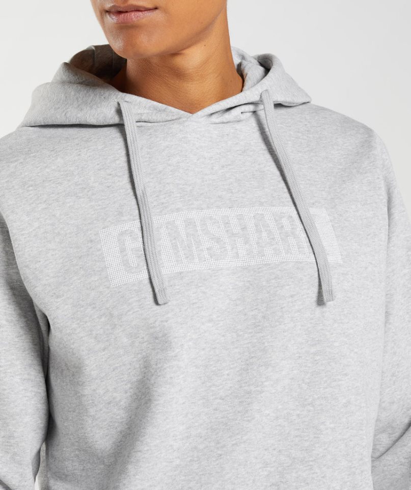 Sudadera Con Capucha Gymshark Block Hombre Gris Claro | ES8106-PY