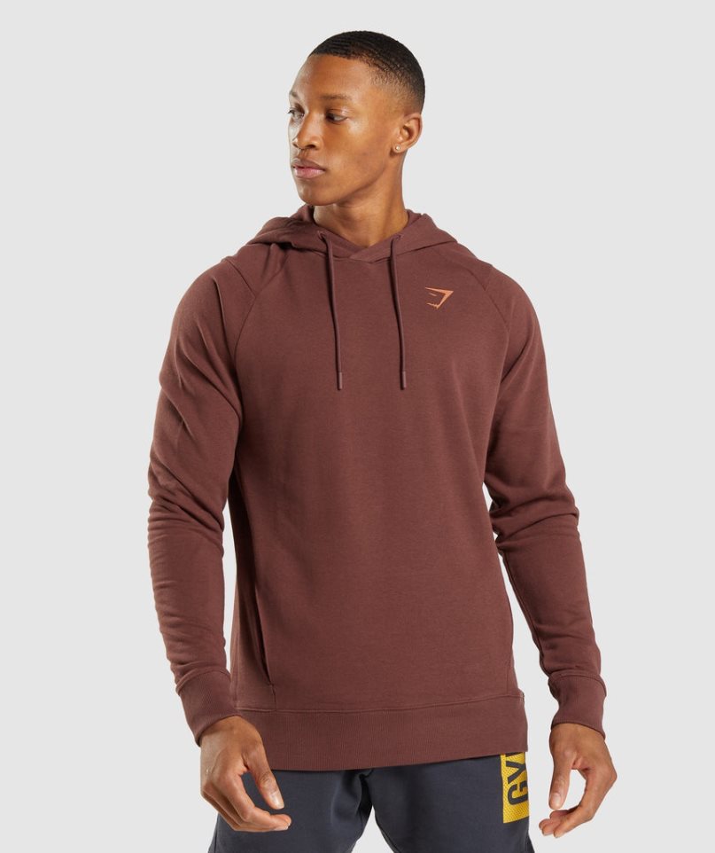 Sudadera Con Capucha Gymshark Bold Hombre Marrones | ES5138-GS