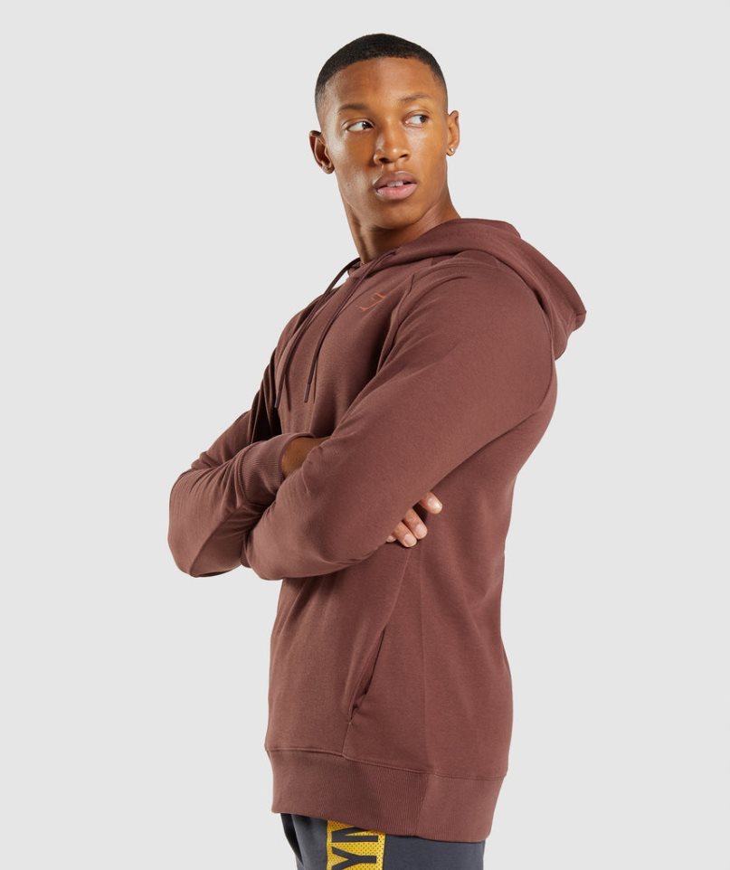 Sudadera Con Capucha Gymshark Bold Hombre Marrones | ES5138-GS