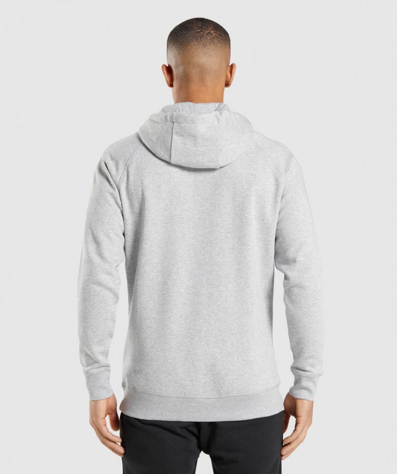 Sudadera Con Capucha Gymshark Crest Hombre Gris Claro | ES0386-DV