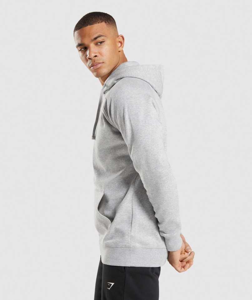 Sudadera Con Capucha Gymshark Crest Hombre Gris Claro | ES0386-DV