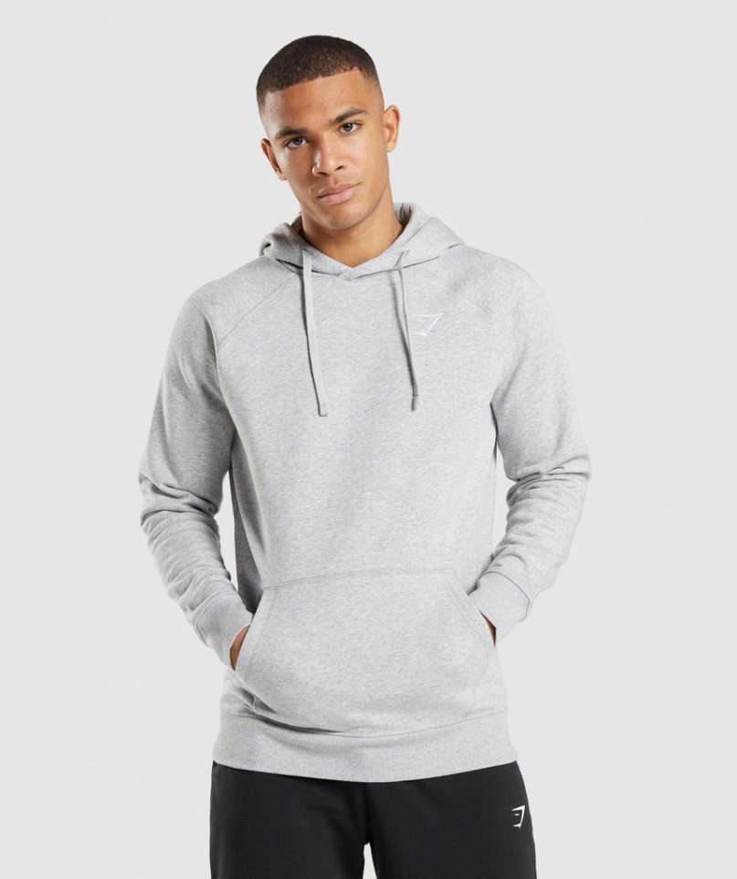 Sudadera Con Capucha Gymshark Crest Hombre Gris Claro | ES0386-DV