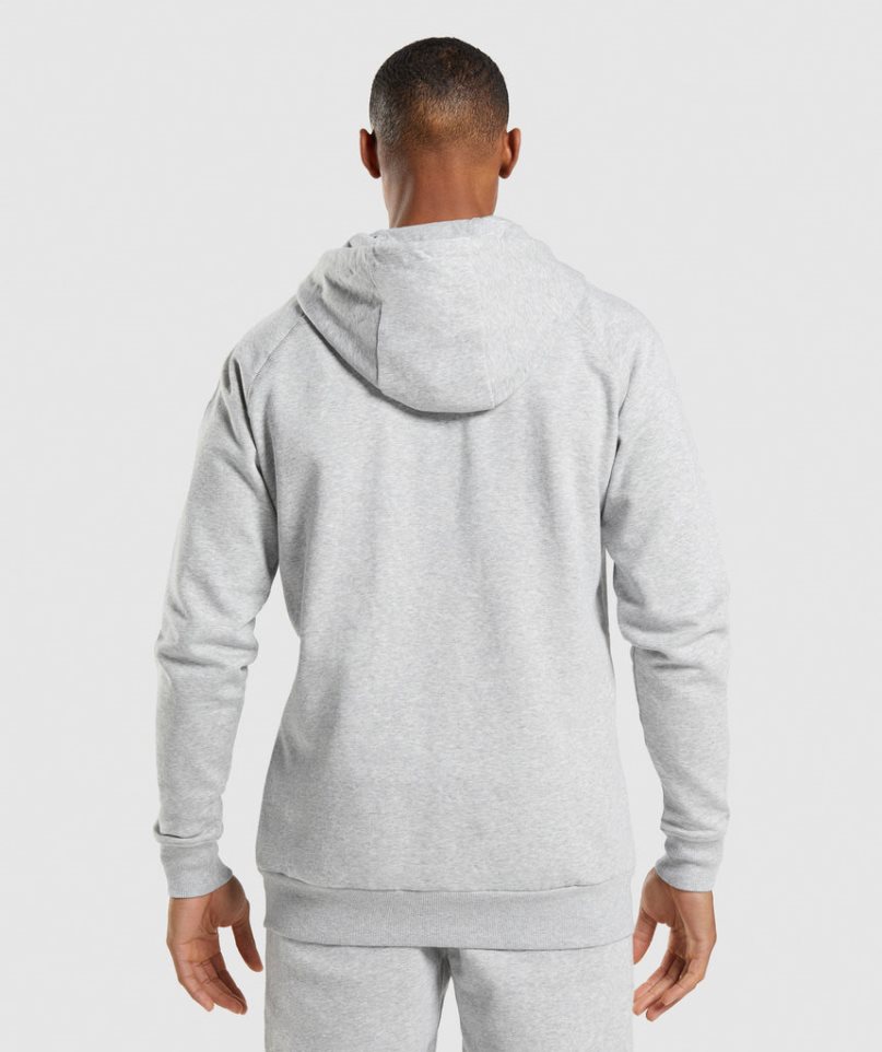 Sudadera Con Capucha Gymshark Crest Zip Up Hombre Gris Claro | ES8653-IA