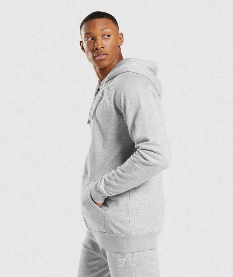 Sudadera Con Capucha Gymshark Crest Zip Up Hombre Gris Claro | ES8653-IA