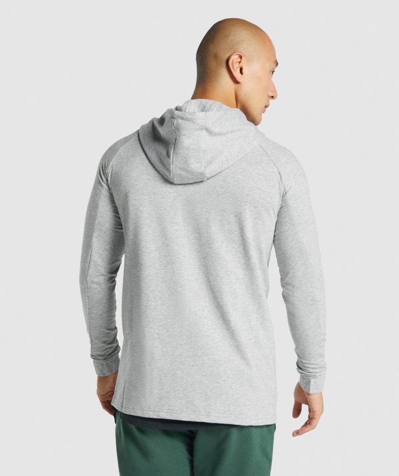 Sudadera Con Capucha Gymshark Critical 2.0 Zip Up Hombre Gris Claro | ES9640-LM