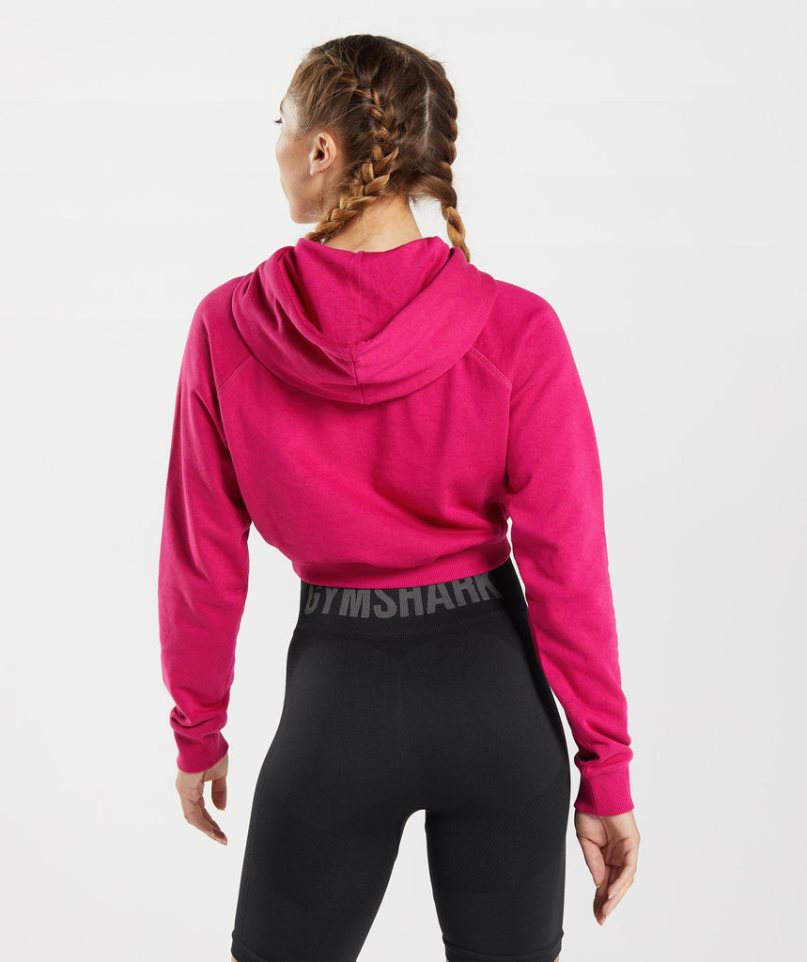 Sudadera Con Capucha Gymshark Entrenamiento Cropped Mujer Fucsia | ES0497-WR