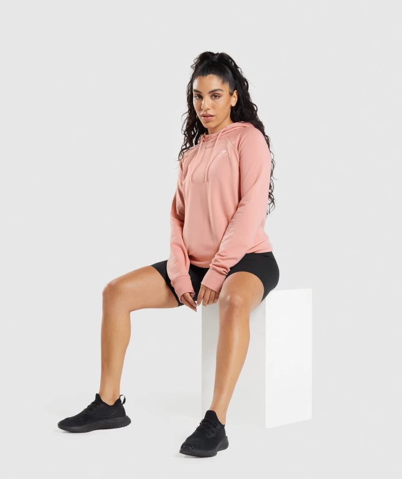 Sudadera Con Capucha Gymshark Entrenamiento Mujer Rosas | ES3264-PF