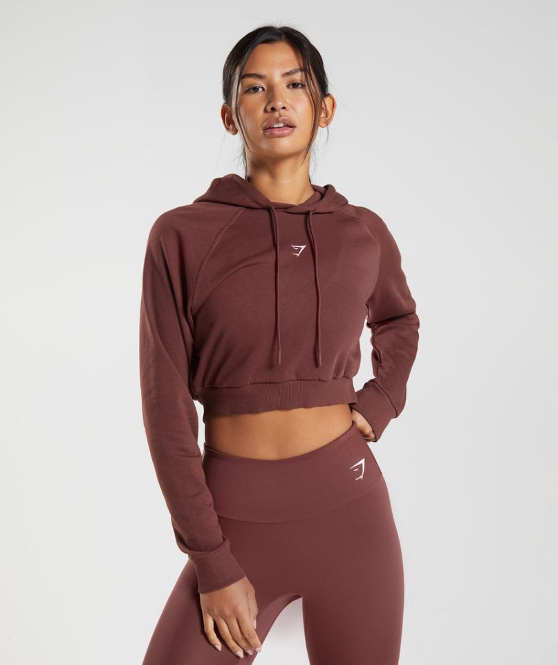 Sudadera Con Capucha Gymshark Entrenamiento Cropped Mujer Marrones Oscuro | ES6802-JG