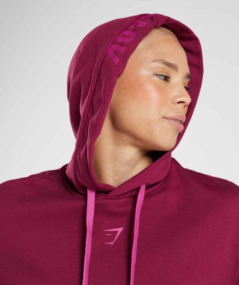 Sudadera Con Capucha Gymshark Graphics Fraction Mujer Fucsia | ES8095-KL