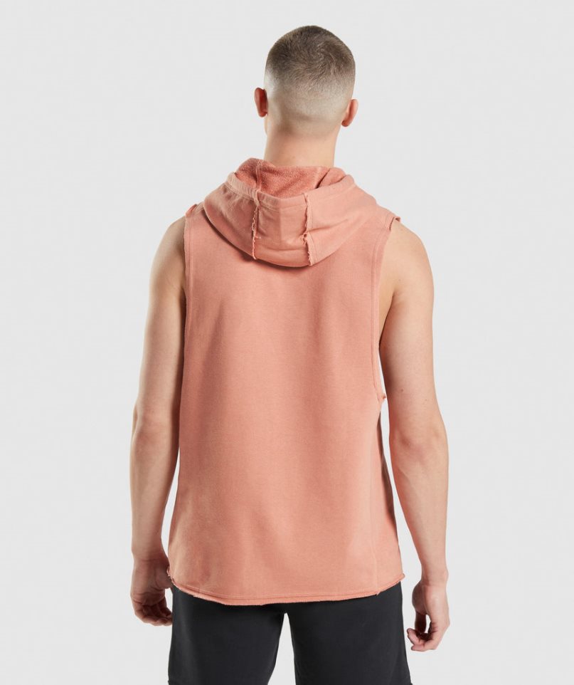 Sudadera Con Capucha Gymshark Legacy Drop Arm Hombre Rosas | ES2803-JN