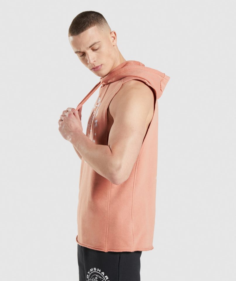 Sudadera Con Capucha Gymshark Legacy Drop Arm Hombre Rosas | ES2803-JN