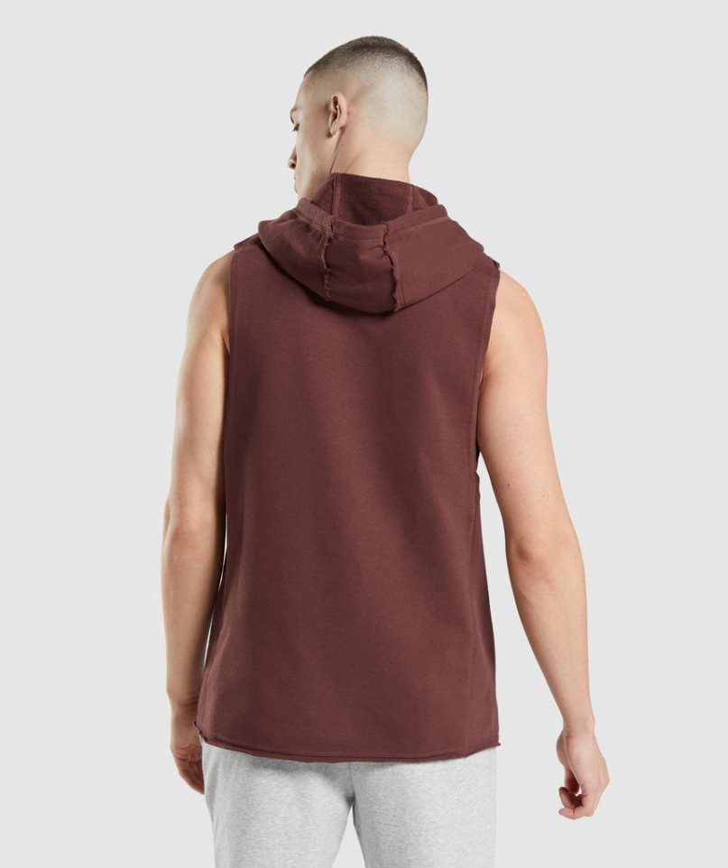 Sudadera Con Capucha Gymshark Legacy Drop Arm Hombre Marrones | ES4120-FP