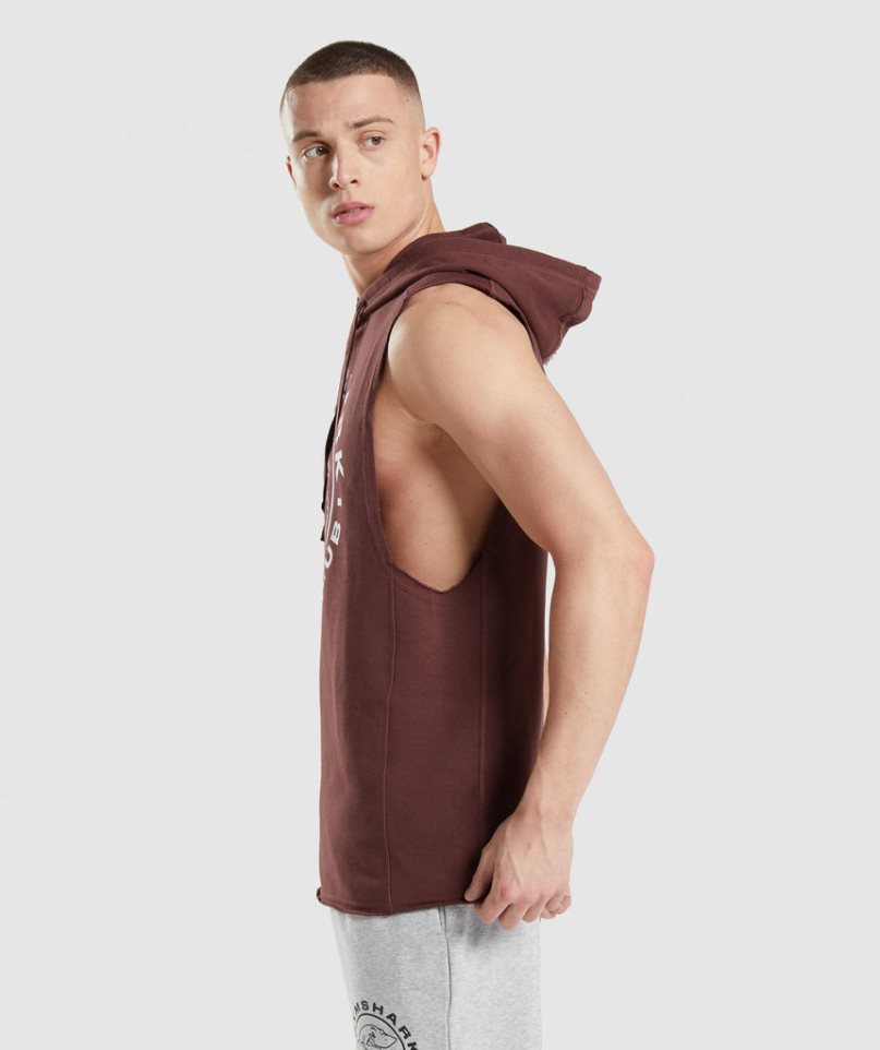 Sudadera Con Capucha Gymshark Legacy Drop Arm Hombre Marrones | ES4120-FP